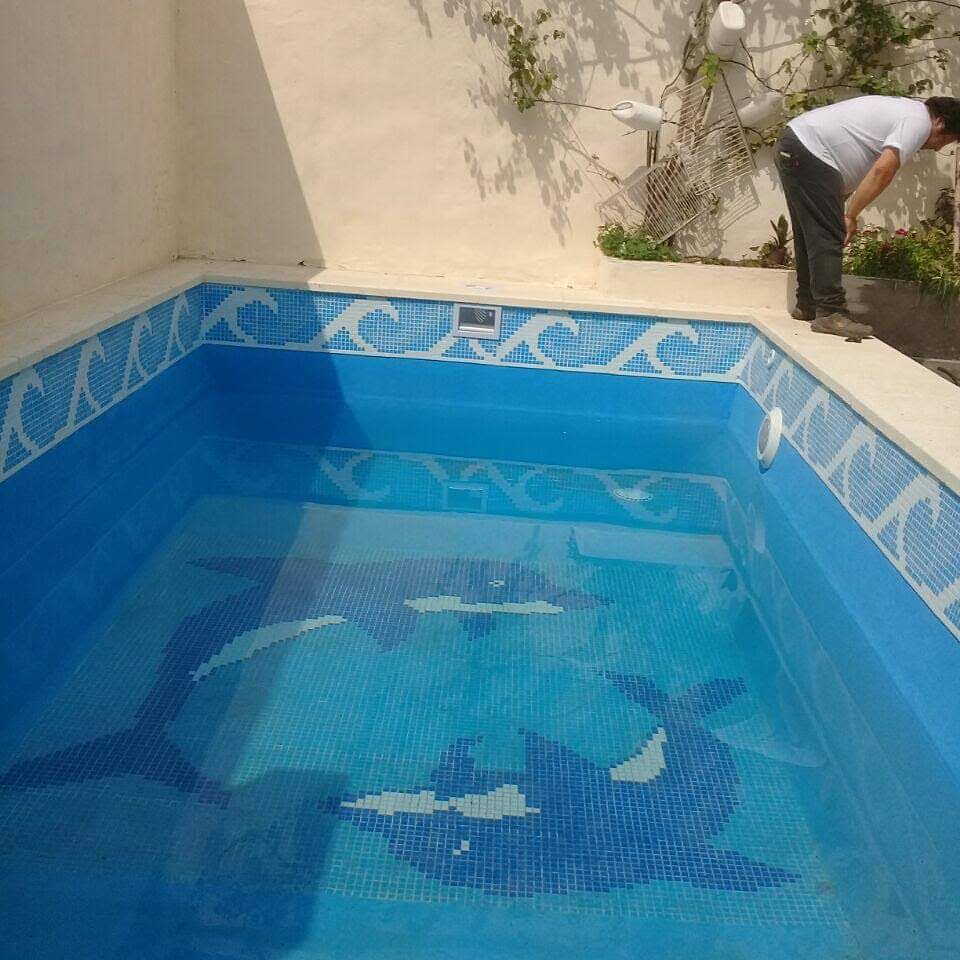 Venecitas con delfines
